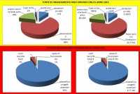 I NOSTRI NUMERI DEL BILANCIO 2014